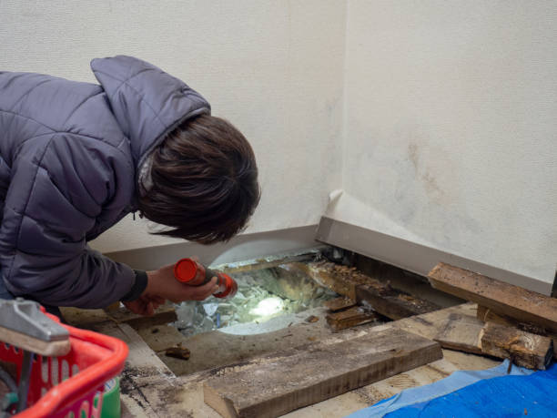 Best Mold Remediation for Healthcare Facilities  in Kittery Point, ME