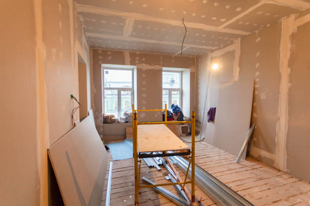 Best Basement Mold Removal  in Kittery Point, ME
